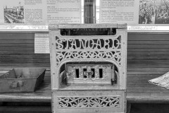 IMG_5951