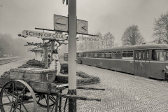 IMG_2657