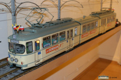 SONY DSC