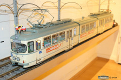 SONY DSC