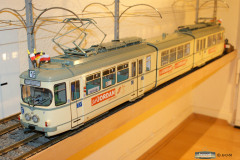 SONY DSC