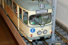 SONY DSC