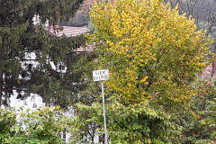 20161019_121242